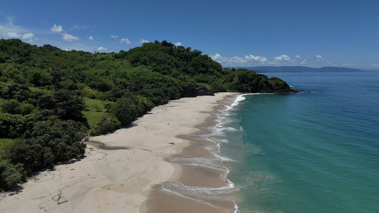 Agribusiness in Sumba