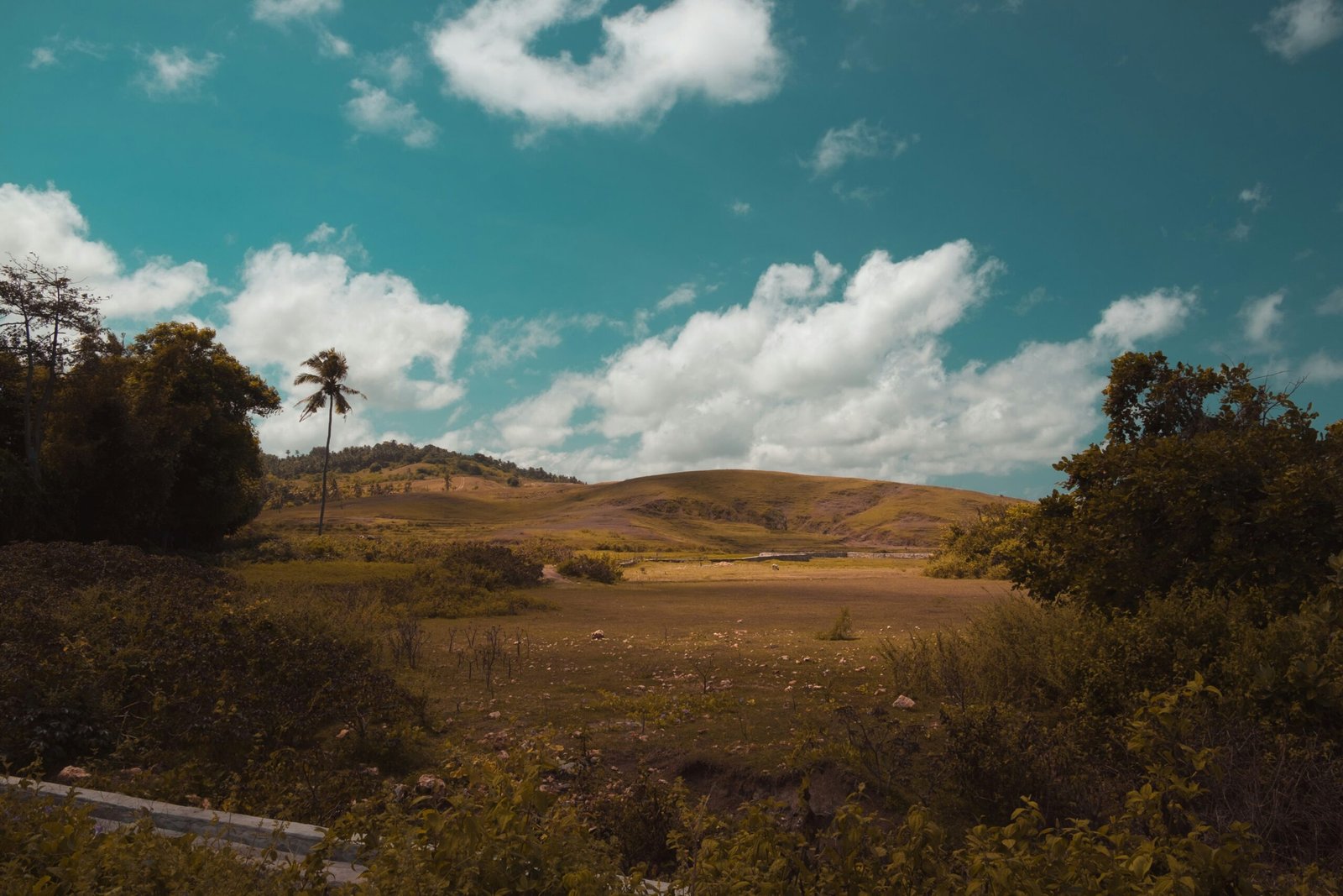 Building a villa in Sumba